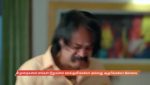 Chinnan Siru Kiliye 27th January 2026 Episode 137 Watch Online