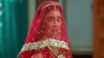 Gharwali Pedwali 26th January 2026 Episode 31 Watch Online