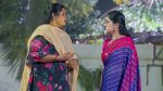 Paape Maa Jeevana Jyothi 16th January 2026 Kutti’s Words of Wisdom Episode 1465