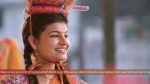 Saru (Zee tv) 23rd January 2026 Episode 255 Watch Online