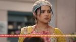 Vasudha (Zee Tv) 31st January 2026 Episode 461 Watch Online