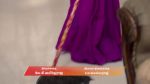 Chinnan Siru Kiliye 10th February 2026 Episode 147 Watch Online