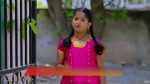 Mukkupudaka 26th February 2026 Episode 1136 Watch Online