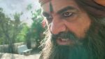 Gharwali Pedwali 3rd February 2026 Episode 37 Watch Online