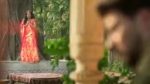 Gharwali Pedwali 6th February 2026 Episode 40 Watch Online