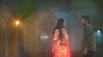 Gharwali Pedwali 24th February 2026 Episode 52 Watch Online