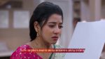Jowar Bhanta 8th February 2026 Episode 135 Watch Online