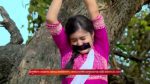 Kusum (Zee Bangla) 1st February 2026 Episode 243 Watch Online