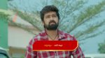 Paluke Bangaramayana 11th February 2026 Hasini Firmly Rejects Shiva’s Plea Episode 769