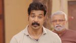 Yed Lagla Premach (Star Pravah) 16th February 2026 Mihir’s Pretence Exposed Episode 584