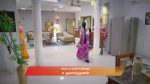 Chinnan Siru Kiliye 5th March 2026 Episode 164 Watch Online