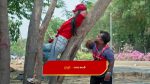 Paape Maa Jeevana Jyothi 16th March 2026 Indumathi Confronts Jeevana Episode 1515
