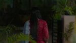 Paluke Bangaramayana 20th March 2026 Sandeep Doubts Hasini Episode 801