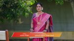Annayya (Zee Kannada) 24th February 2026 Episode 406