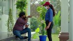 Jagadhatri (zee telugu) 6th February 2026 Episode 727
