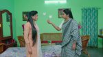 Paluke Bangaramayana 4th March 2026 Sathyamma’s Plea to Hasini Episode 787