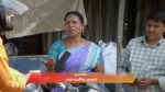 Sandhya Raagam (Tamil) 26th February 2026 Episode 800