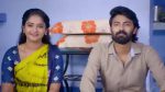 Sandhya Raagam (Tamil) 1st March 2026 Episode 805 Watch Online