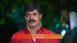 Sandhya Raagam (Tamil) 30th March 2026 Episode 830 Watch Online