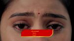 Saptapadi (Star Maa) 14th March 2026 Bhavani’s Scheme to Expose Vicky Episode 149