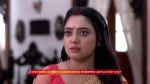 Dadamoni (Zee Bangla) 10th April 2026 Episode 242 Watch Online
