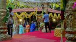 Mukkupudaka 1st April 2026 Episode 1164 Watch Online