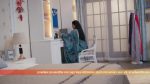 Shubh Shravani 31st March 2026 Episode 72 Watch Online