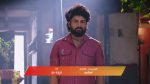 Annayya (Zee Kannada) 15th April 2026 Episode 443 Watch Online