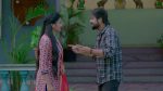Paluke Bangaramayana 20th April 2026 Hasini’s Secret Unveiled Episode 827