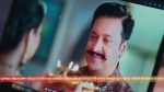 Vasudha (Zee Tv) 12th April 2026 Episode 530 Watch Online