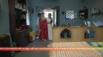 Vasudha (Zee Tv) 23rd April 2026 Episode 541 Watch Online
