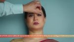 Vasudha (Zee Tv) 24th April 2026 Episode 542 Watch Online