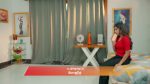 Ayali 8th October 2025 Episode 103 Watch Online