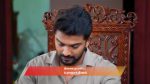 Ayali 27th October 2025 Episode 118 Watch Online