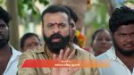 Ayali 7th November 2025 Episode 132 Watch Online