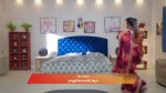 Ayali 13th December 2025 Episode 163 Watch Online