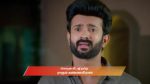 Ayali 20th January 2026 Episode 197 Watch Online
