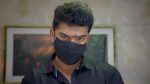 Ayali 24th January 2026 Episode 201 Watch Online