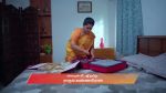 Ayali 12th August 2025 Episode 54 Watch Online