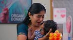 Sandhyaraaga 7th May 2026 Episode 1117 Watch Online