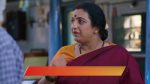 Annayya (Zee Kannada) 20th April 2026 Episode 446 Watch Online