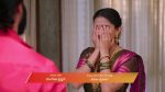 Annayya (Zee Kannada) 24th April 2026 Episode 450 Watch Online