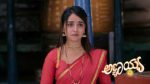 Annayya (Zee Kannada) 8th May 2026 Episode 460 Watch Online