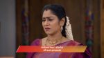 Ayali 15th April 2026 Episode 270 Watch Online