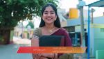 Gattimelam 30th April 2026 Episode 383 Watch Online