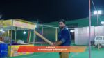 Gattimelam 2nd May 2026 Episode 384 Watch Online