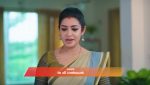 Gattimelam 6th May 2026 Episode 387 Watch Online