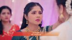 Kamali (Zee Marathi) 1st May 2026 Episode 294 Watch Online