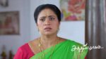 Sandhya Raagam (Tamil) 16th May 2026 Episode 871 Watch Online