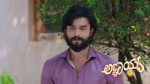 Annayya (Zee Kannada) 10th June 2026 Episode 483 Watch Online